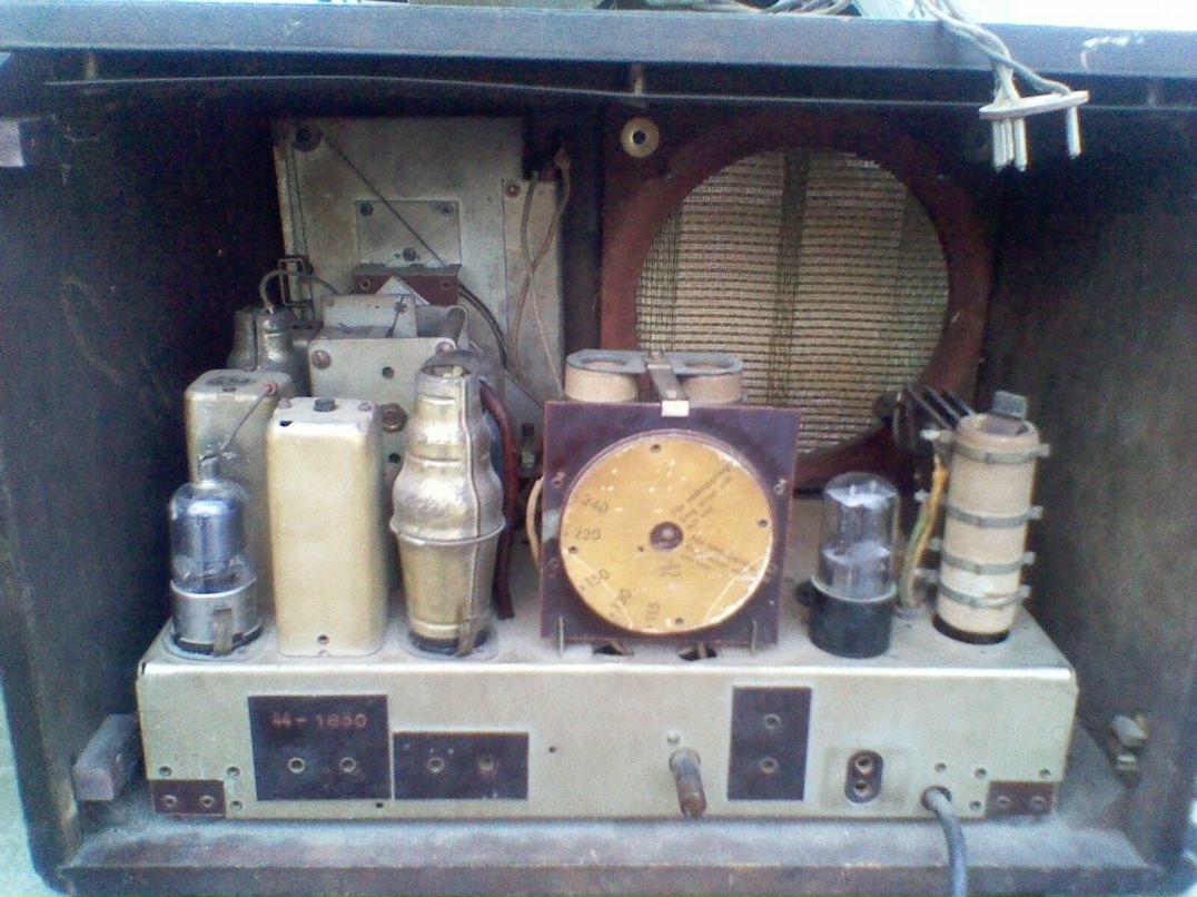 Дмитрий Сотников | Санкт-Петербург