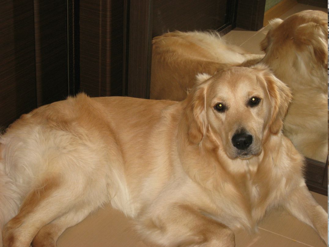 Дмитрий Черноляхов ())---DIMON--- | Москва