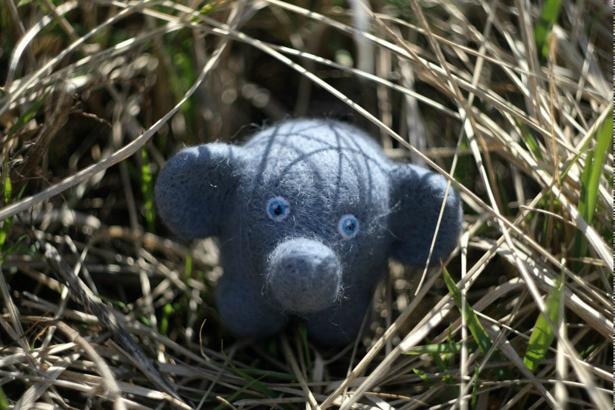 Дмитрийi Левуцкий | Краснодар