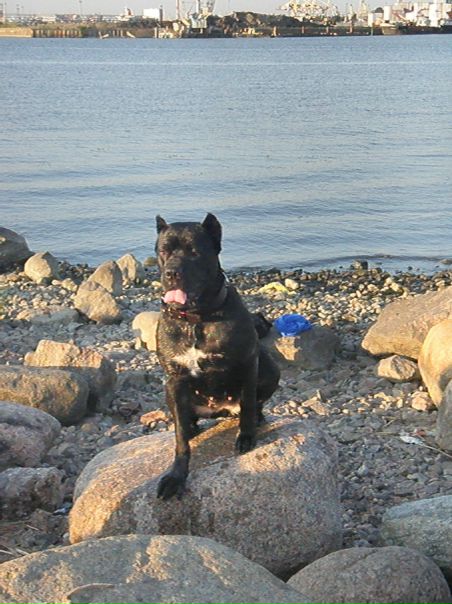 №108, Оксана Анисимова, 51 год, Санкт-Петербург №108, Оксана Анисимова, 51 год, Санкт-Петербург