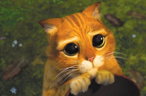 Рома Гоцман | Хмельницкий