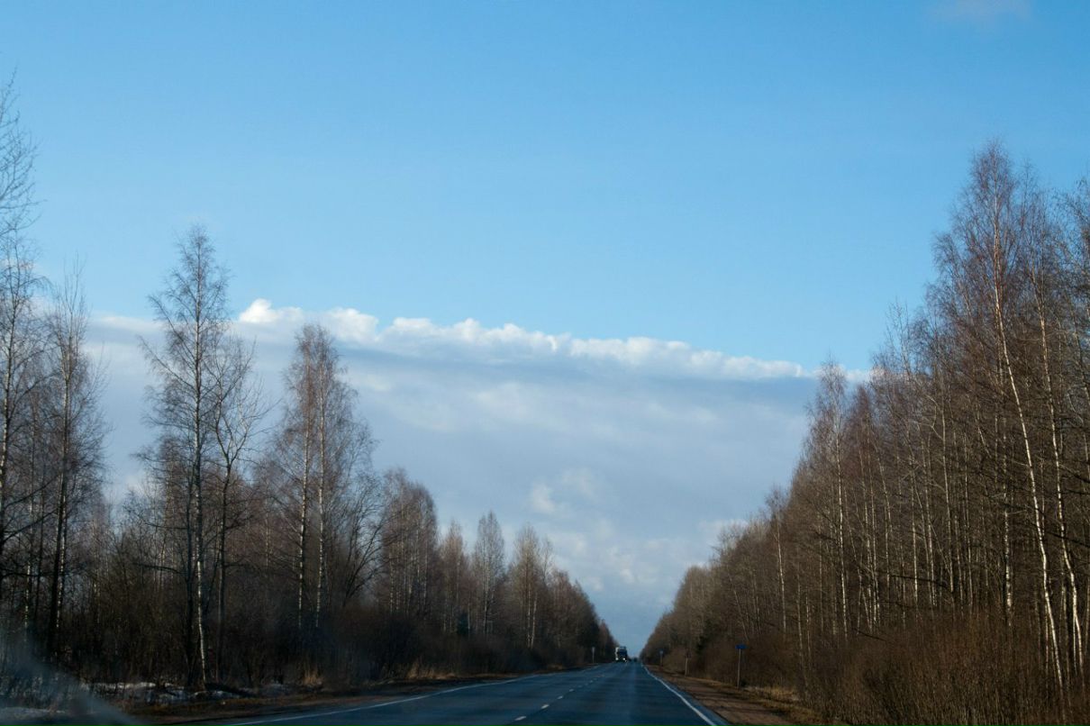 Veronika Bogomolova | Санкт-Петербург