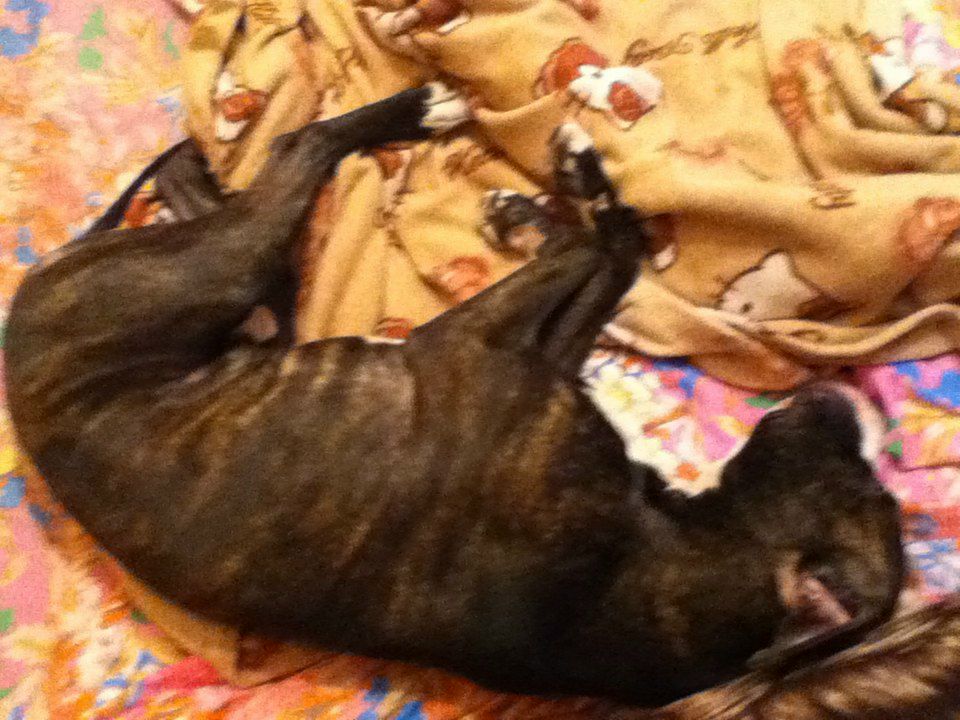 Kat Kan пил и пил | Санкт-Петербург