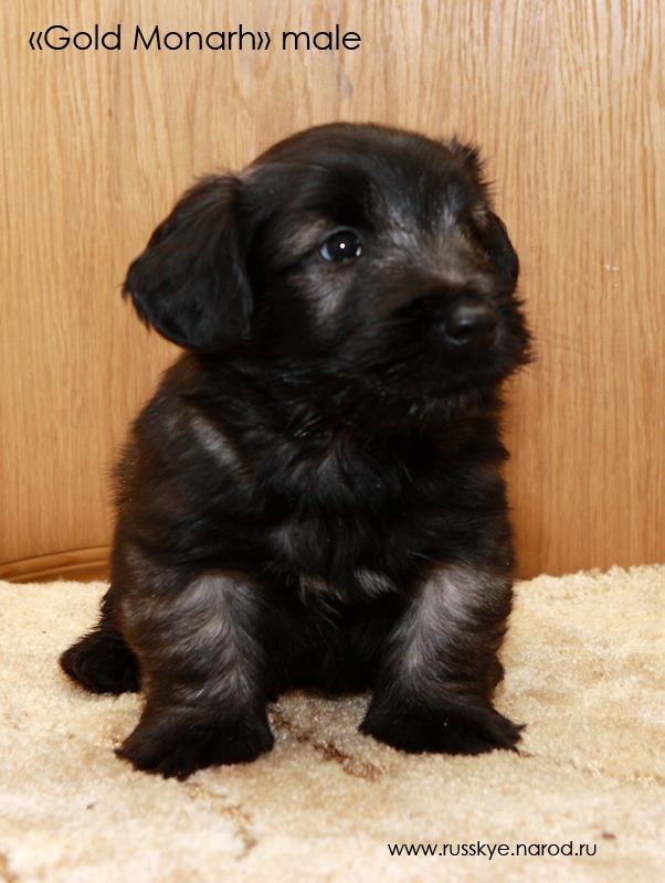 Ангелина Сартакова | Санкт-Петербург