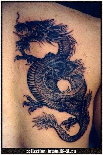 Дмитрий Беседин | Сочи