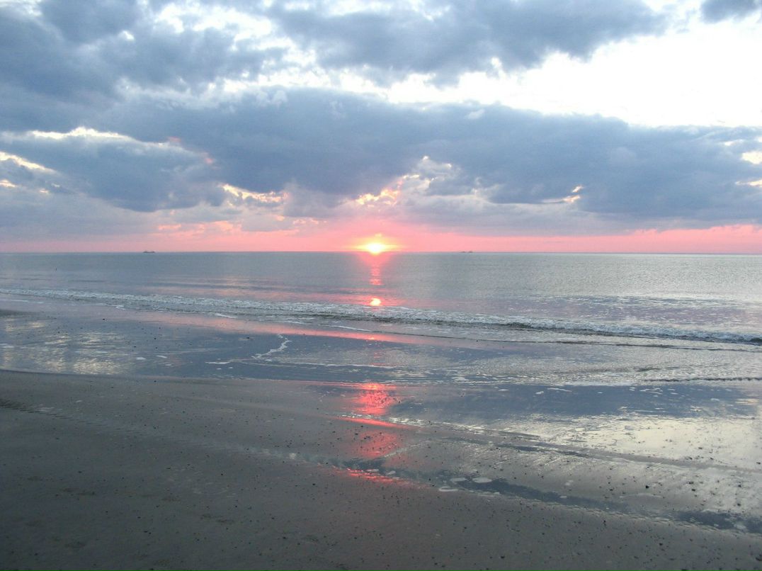 Николай Ефимов | Печора