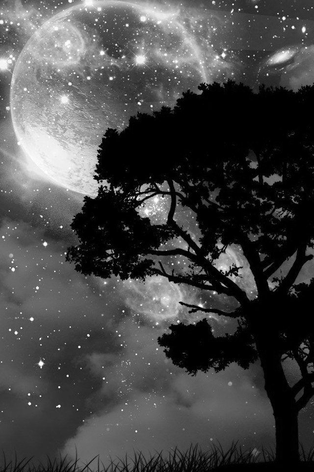 Monika Kiss | Москва