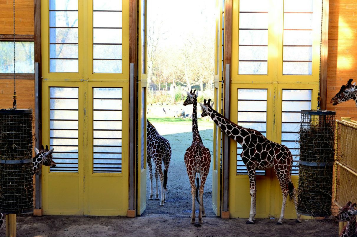 Ксения Виват | Москва