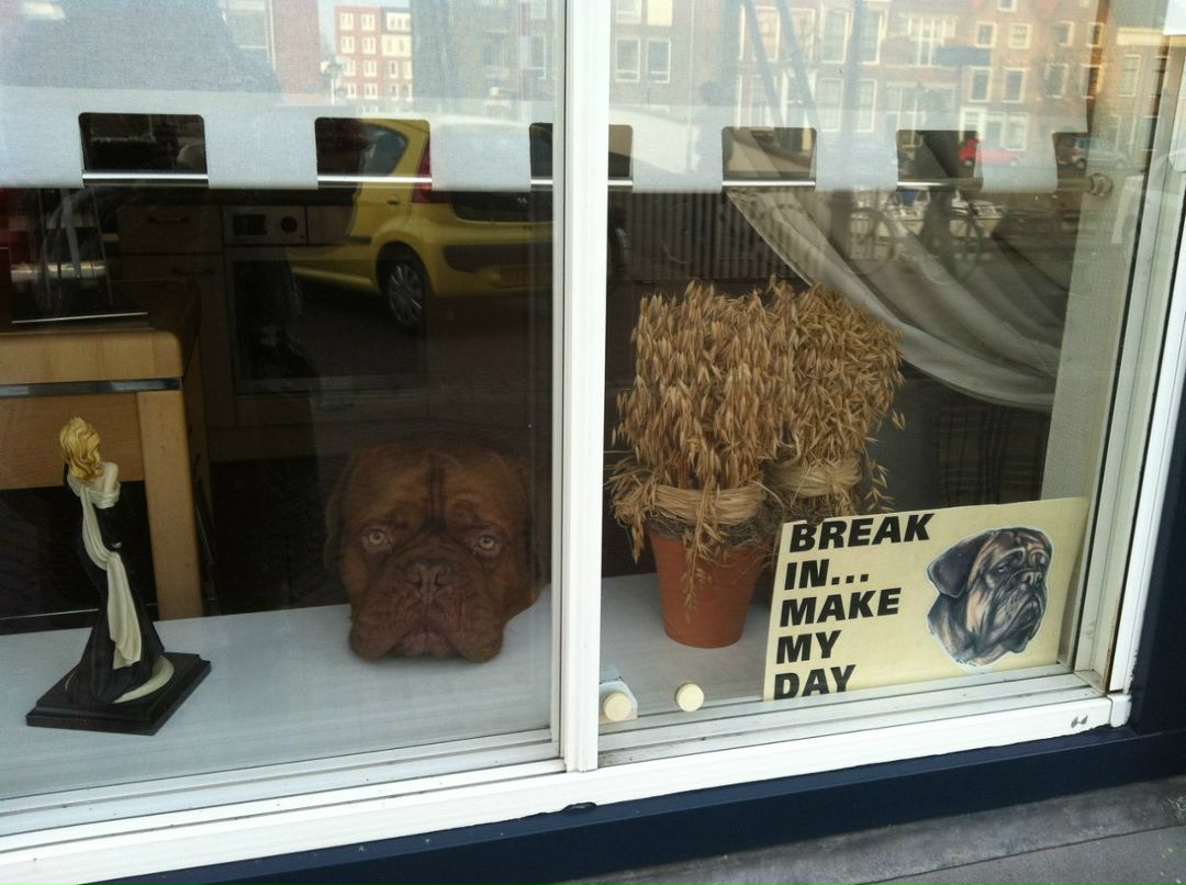 Ксения Виват | Москва