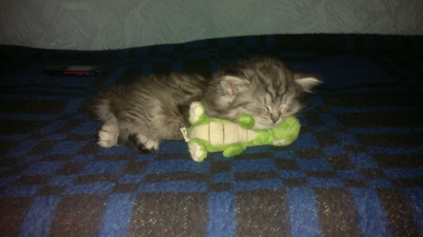 Александр Сидоров | 