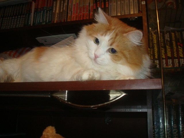 Марина Хрусталева | Тихвин