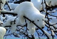 №28 Алеся Атаева : профиль, фото, статус - ВКонтакте