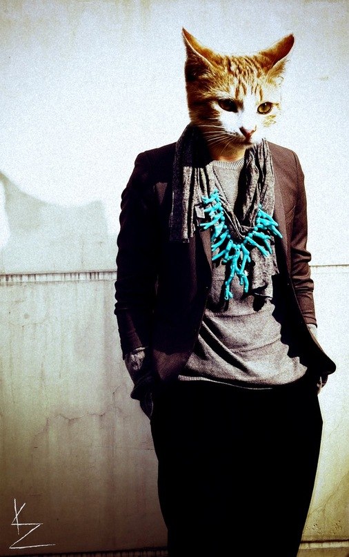 Дениска Рикторн Три | Северодвинск