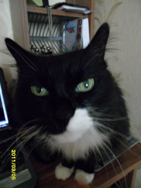 №15, Алексей Михалко №15, Алексей Михалко