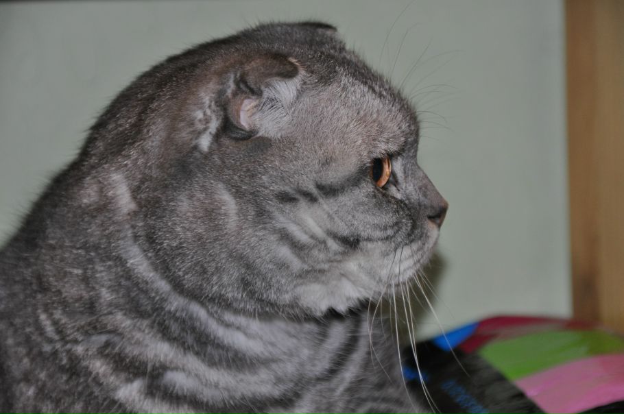 №29, Наталья, Москва №29, Наталья, Москва