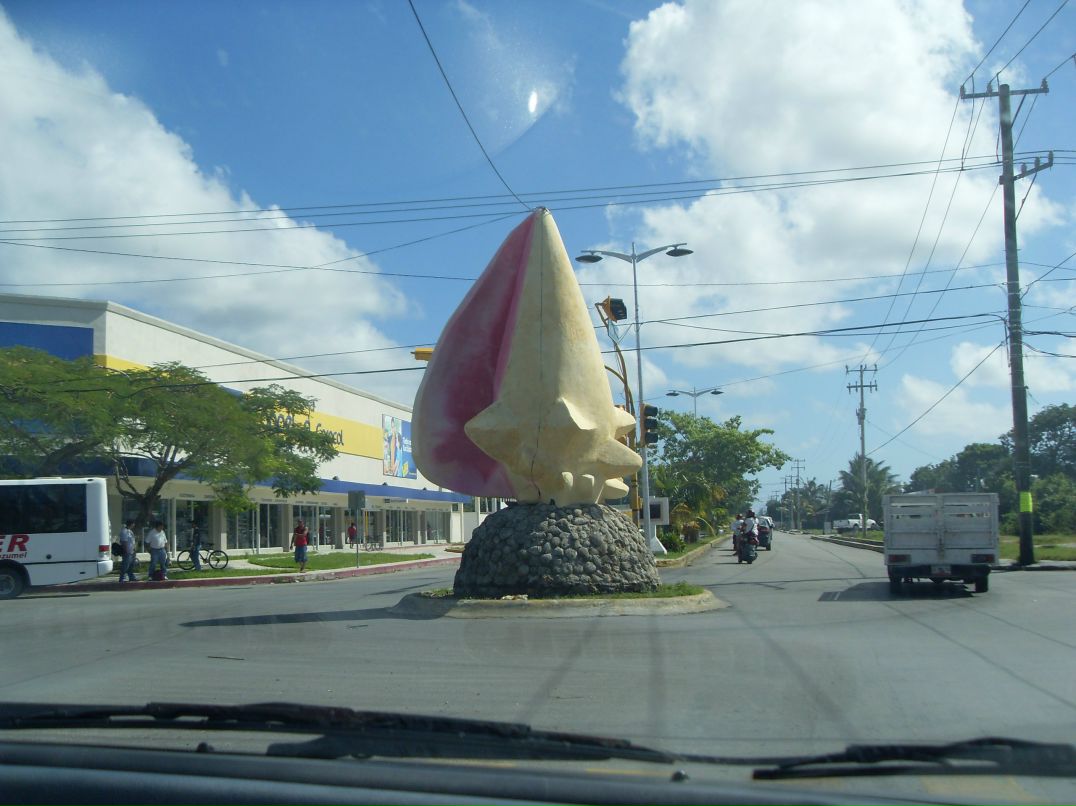 Юлия Шибаева | Санкт-Петербург