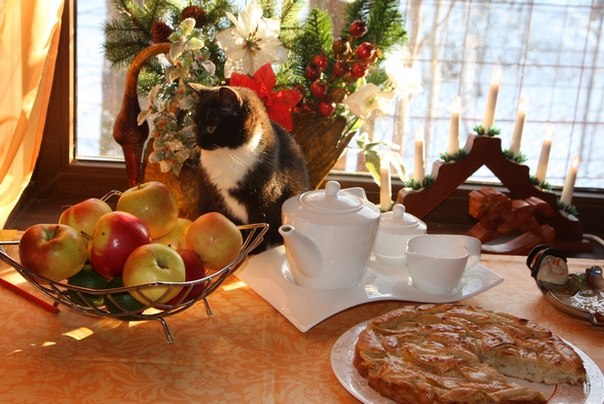 №53, Вероника Доничева, Новосибирск №53, Вероника Доничева, Новосибирск