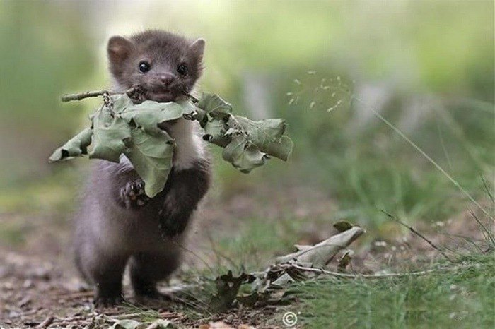 Файруза Халимова | Казань