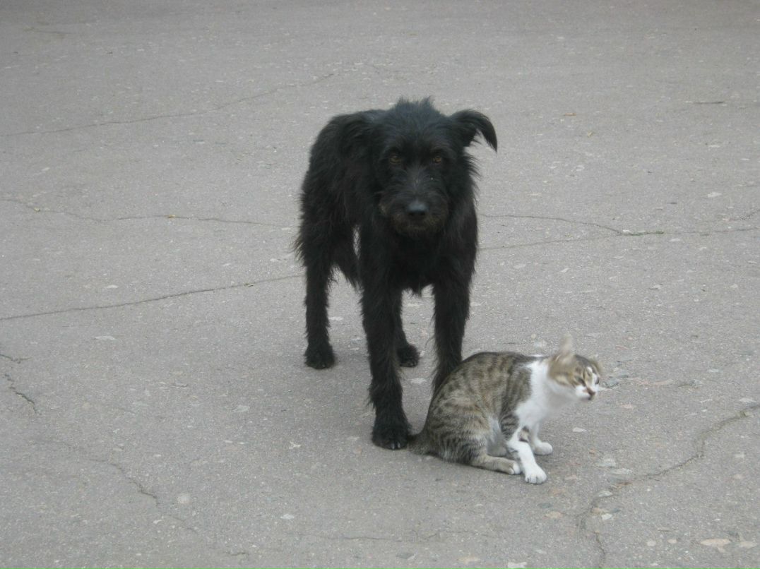 Наталья Загуляева | 