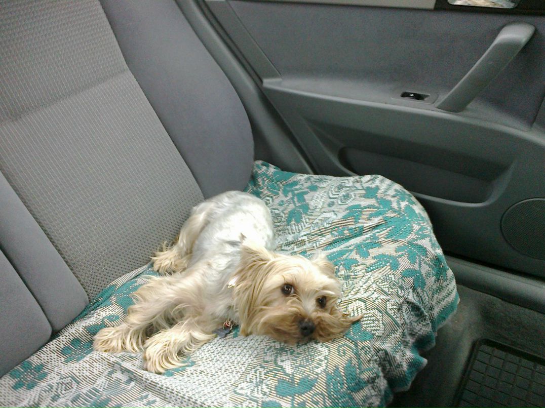 Сергей Раннев | Москва