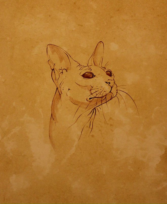 Александра Несветова | Санкт-Петербург