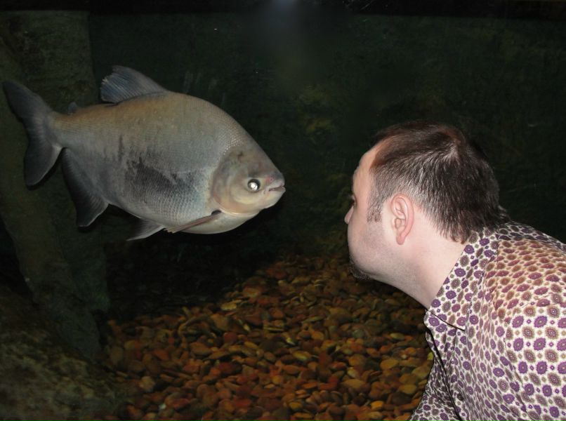 Денис Правда | Санкт-Петербург