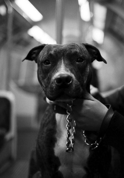 Time Everything | Zihuatanejo