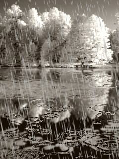 Наиль Башаров Алфатович | Воткинск