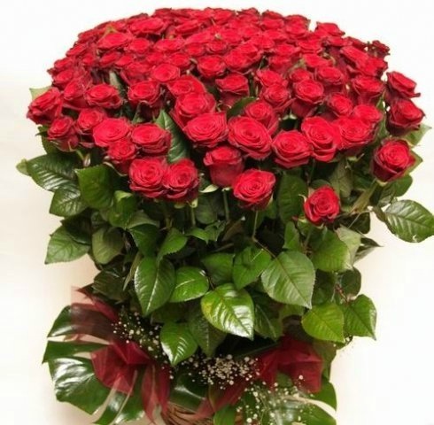 №97, Виолетта Юрчикова, Киреевск №97, Виолетта Юрчикова, Киреевск