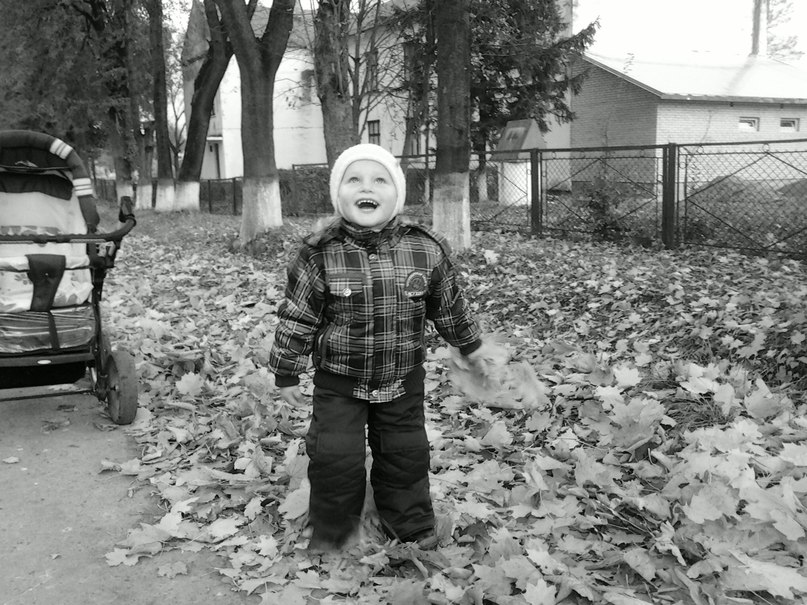 Іванна Паук | Самбор