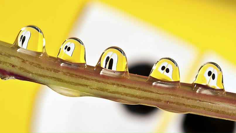 Василий Арбузов Time | Москва