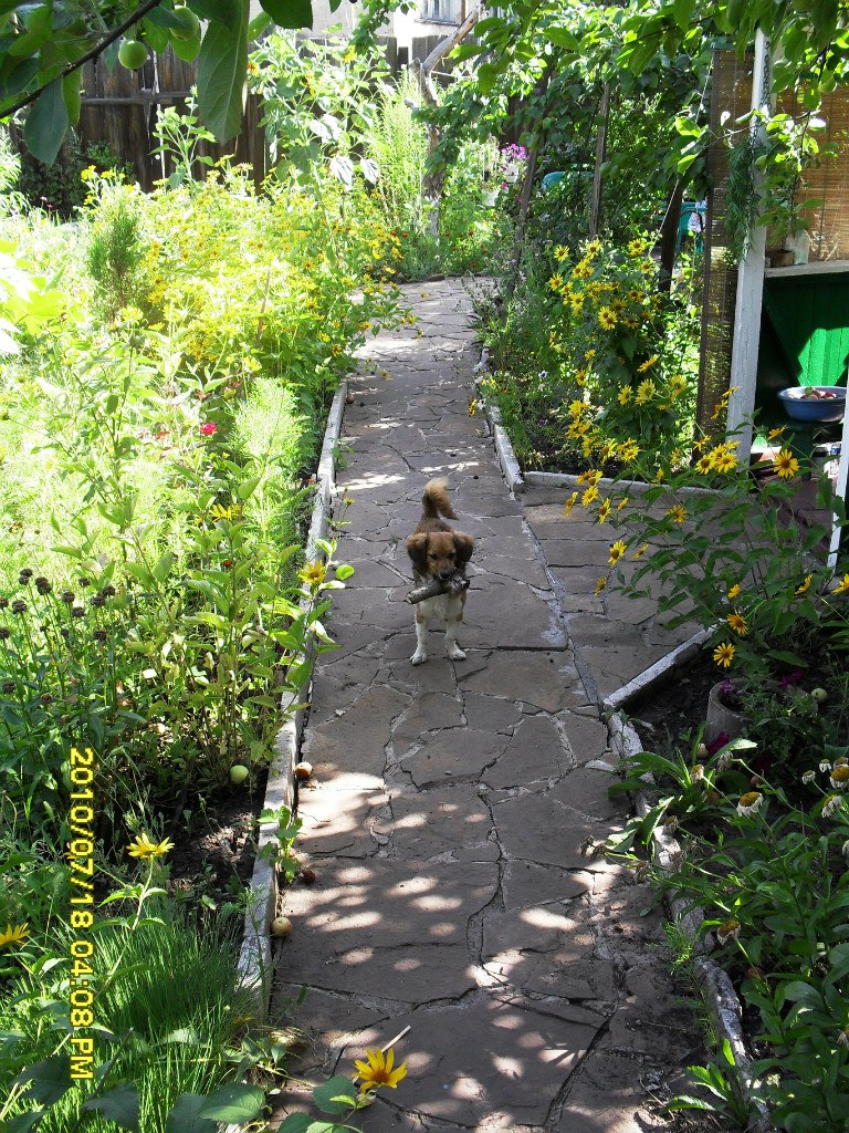 Антон Пошкурлат | Хрустальный / Красный Луч
