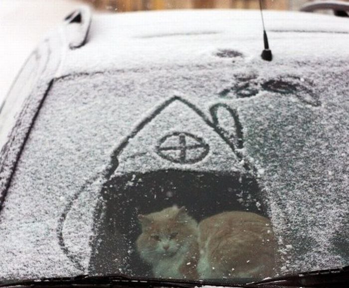 Дэн Абызов AsF_ALT | Санкт-Петербург