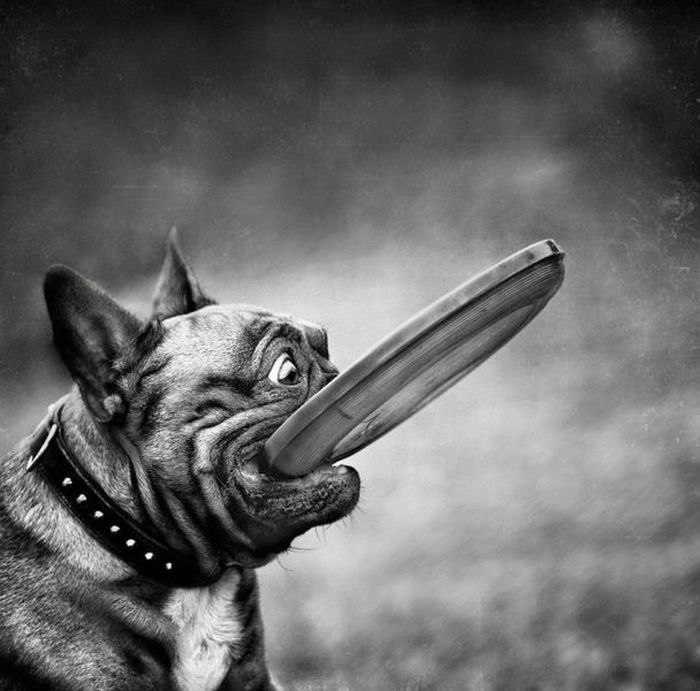 Евгений Климанцев | Москва