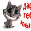 Аватар: Рома Финкинштеин