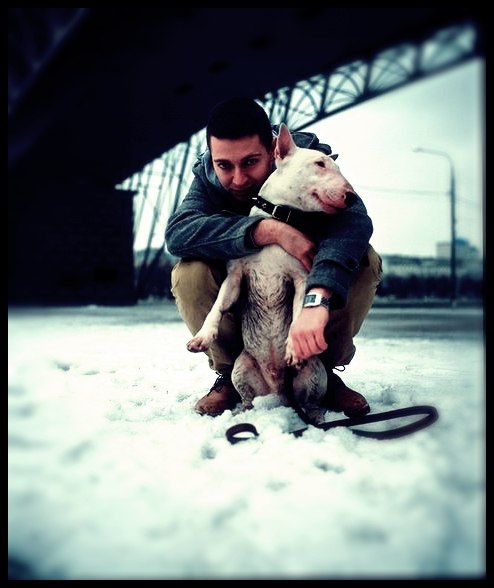 Кирилл Семенихин | Поставы