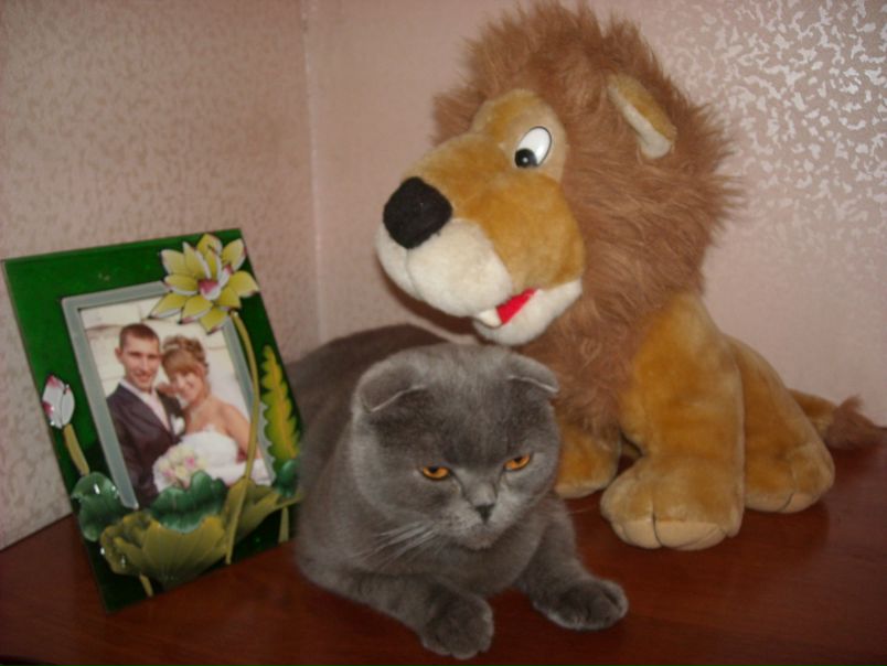 №51, Яна Владимирова, Черкассы №51, Яна Владимирова, Черкассы