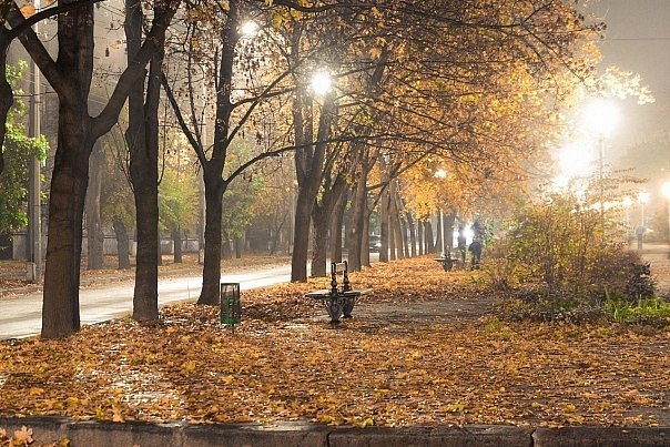 Мошка Моськина ツ | Запорожье