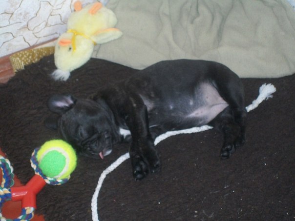 №20, Михаил Прохоров, 46 лет, Харьков №20, Михаил Прохоров, 46 лет, Харьков