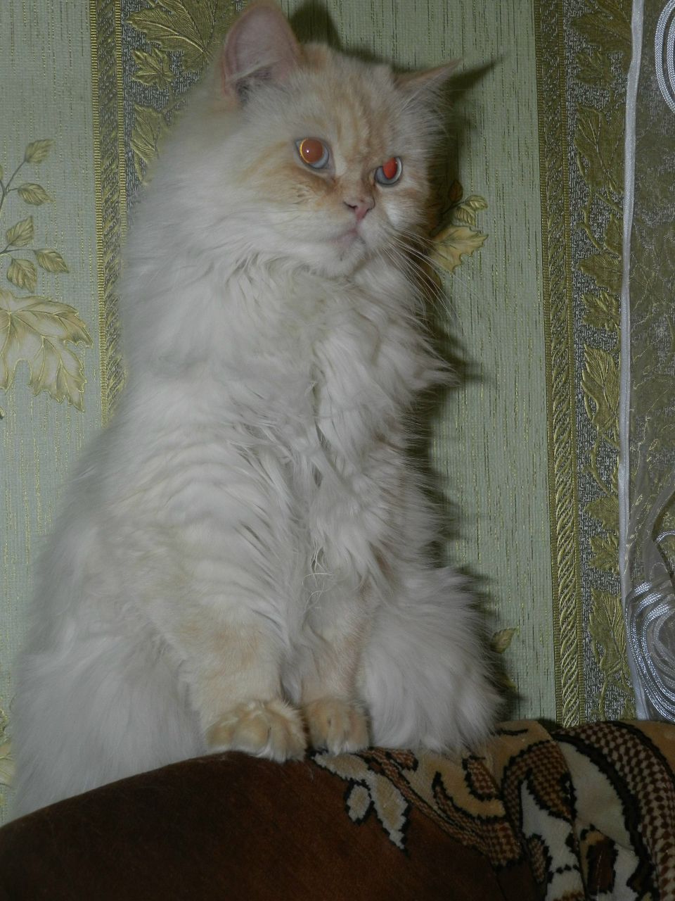 Натали Политова | Рубежное