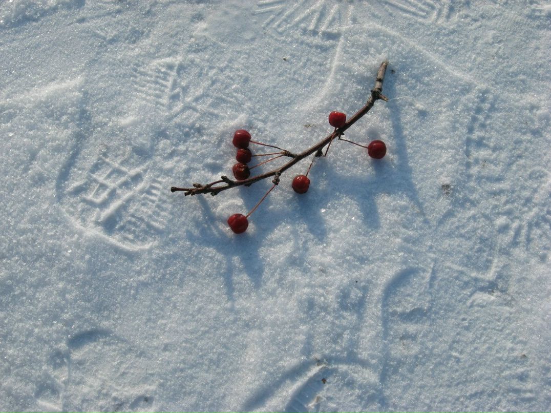 Вера Казанцева | Ишим