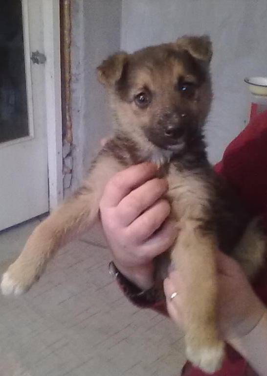 Ольга Сапожникова | Энгельс