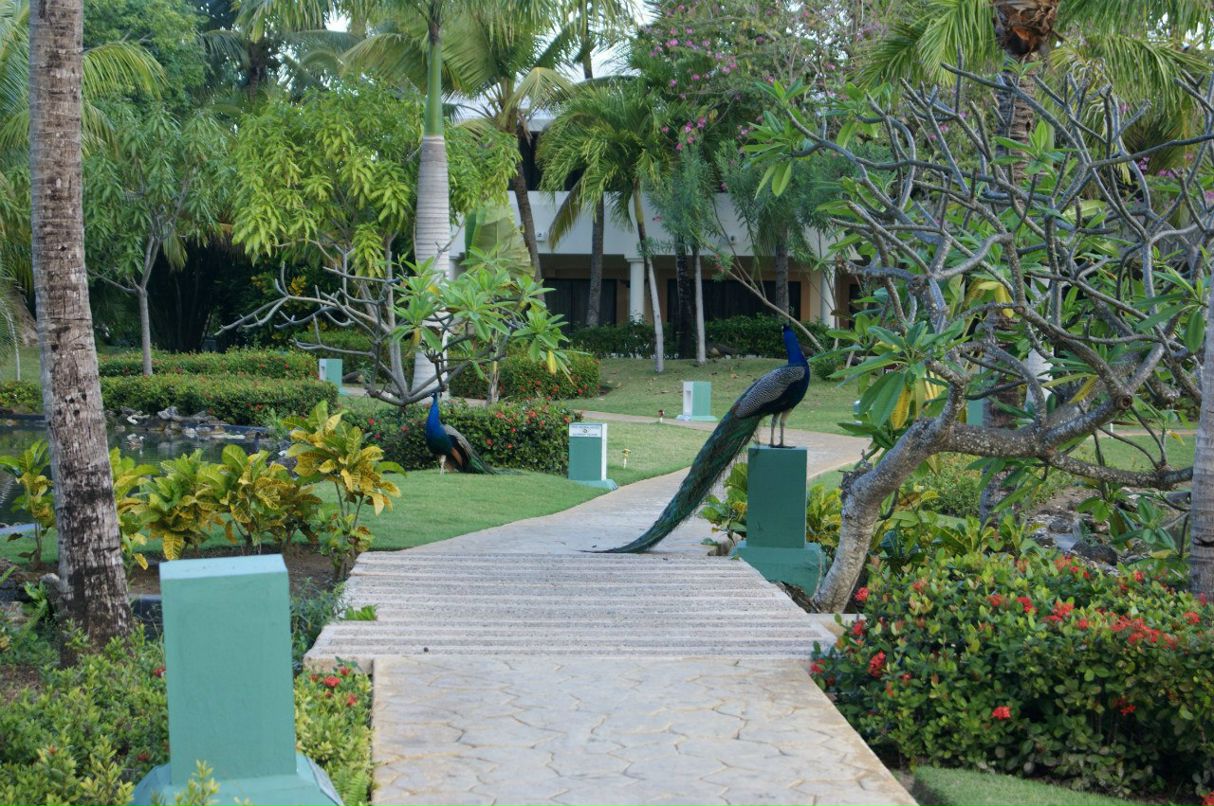 Вячеслав Болтенков самый настоящий SlaviK djyn | Казань