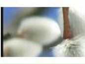 Юрій Козій | Тернополь