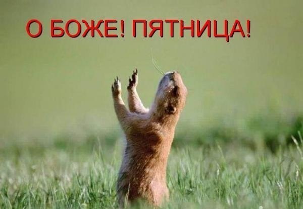 №45, Maksat Mamraimov, Шымкент, Казахстан №45, Maksat Mamraimov, Шымкент, Казахстан