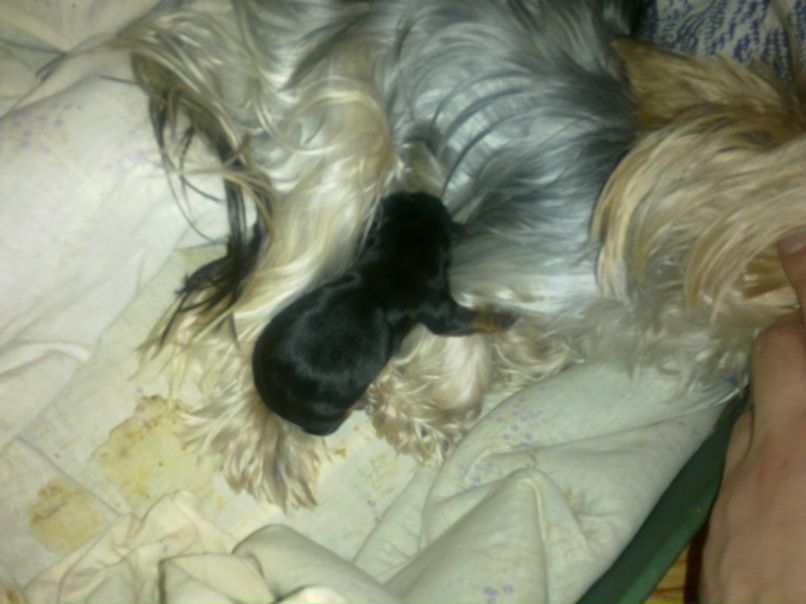 Сергей Сидоренко | Пермь