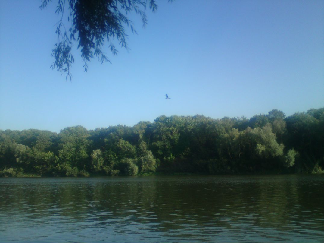 Роман Кудрявцев | Воронеж