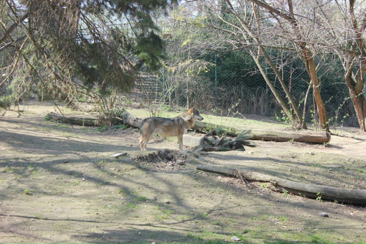 Кирилл Смирнов | Санкт-Петербург