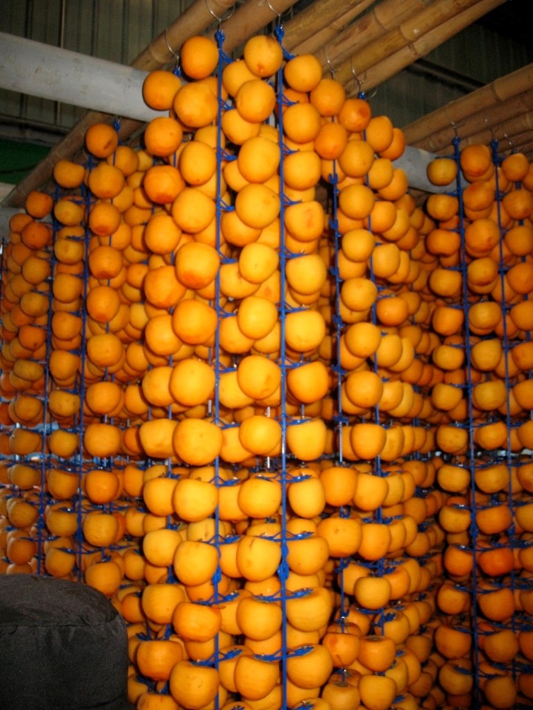 Екатерина Каркавцева | Бишкек