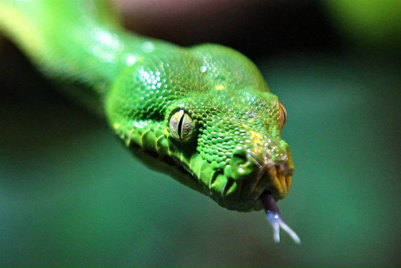 Юлія Кода | Ивано-Франковск